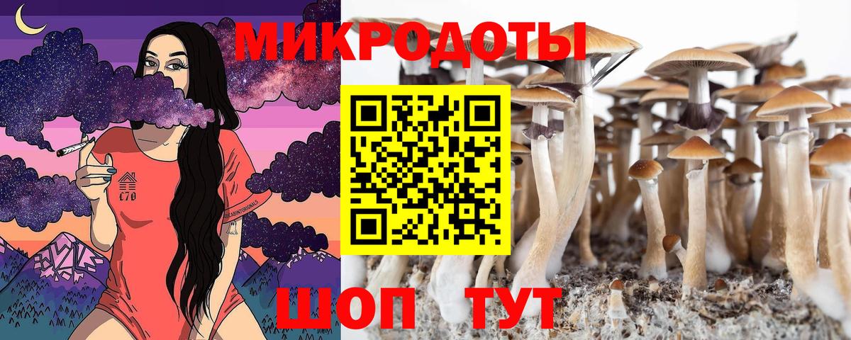 Галлюциногенные грибы Psilocybine cubensis Кумертау