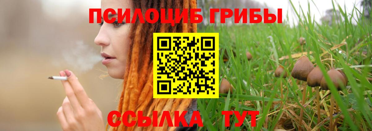 Кумертау  Псилоцибиновые грибы Psilocybe  Вход с VPN 
